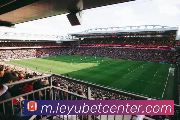 乐鱼体育APP 封面图