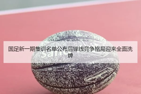 国足新一期集训名单公布后锋线竞争格局迎来全面洗牌（Leyu）